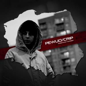 Pewuo Crip - Pozbawiamy Złudzeń